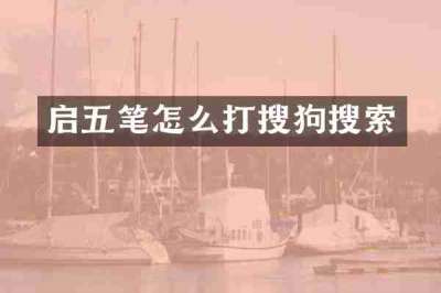 启五笔怎么打搜狗搜索