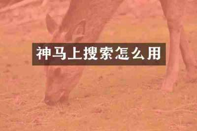 神马上搜索怎么用