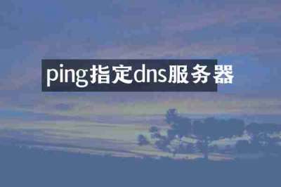 ping指定dns服务器