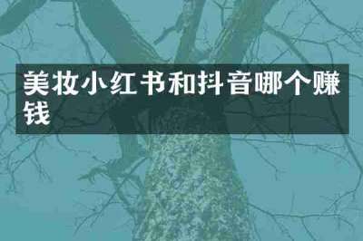 美妆小红书和抖音哪个赚钱