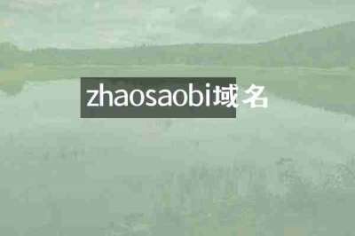zhaosaobi域名