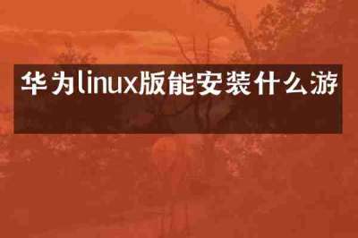 华为linux版能安装什么游戏