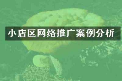 小店区网络推广案例分析