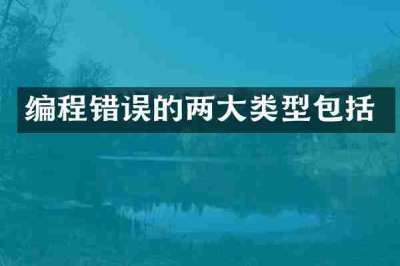编程错误的两大类型包括