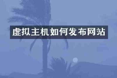 虚拟主机如何发布网站