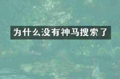 为什么没有神马搜索了
