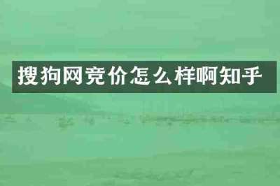 搜狗网竞价怎么样啊知乎