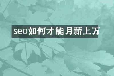 seo如何才能月薪上万