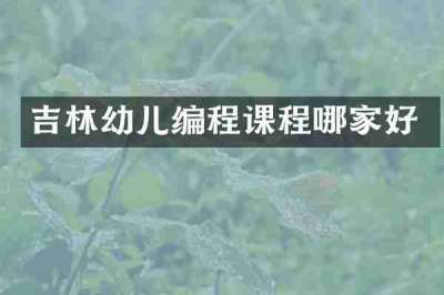 吉林幼儿编程课程哪家好