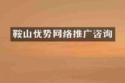 鞍山优势网络推广咨询
