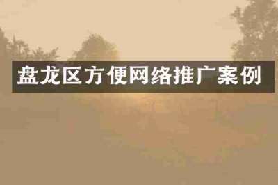 盘龙区方便网络推广案例