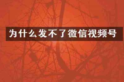 为什么发不了微信视频号