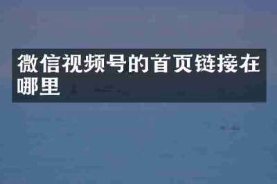 微信视频号的首页链接在哪里