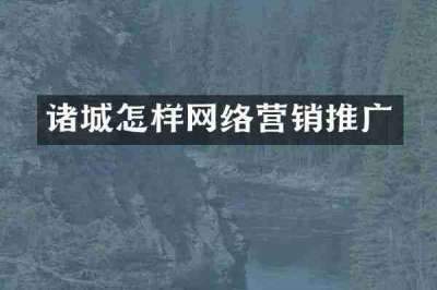 诸城怎样网络营销推广