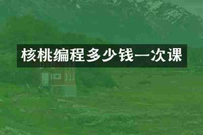 核桃编程多少钱一次课