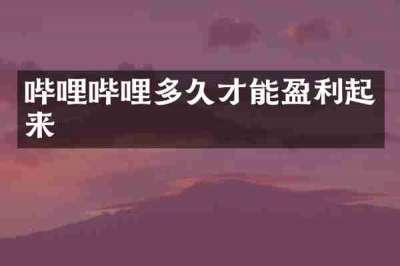 哔哩哔哩多久才能盈利起来