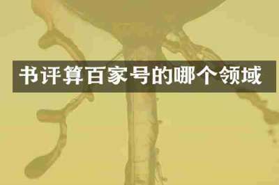 书评算百家号的哪个领域