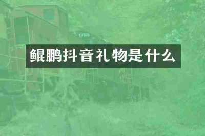 鲲鹏抖音礼物是什么