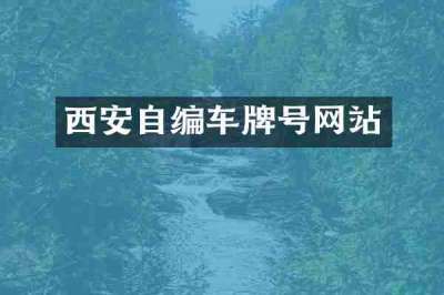 西安自编车牌号网站
