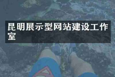 昆明展示型网站建设工作室