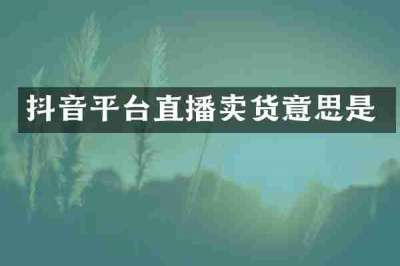 抖音平台直播卖货意思是