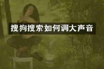 搜狗搜索如何调大声音