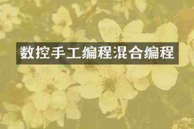 数控手工编程混合编程