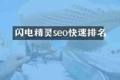 闪电精灵seo快速排名