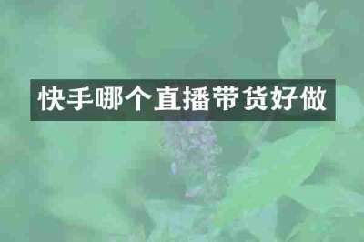 快手哪个直播带货好做
