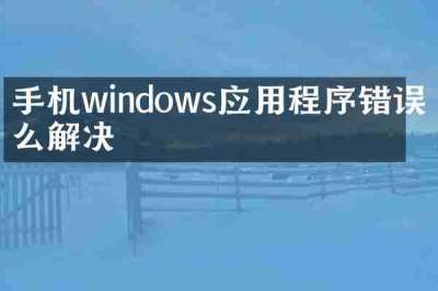 手机windows应用程序错误怎么解决