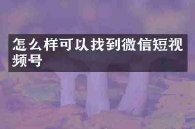 怎么样可以找到微信短视频号