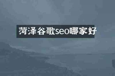 菏泽谷歌seo哪家好