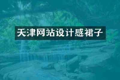 天津网站设计感裙子