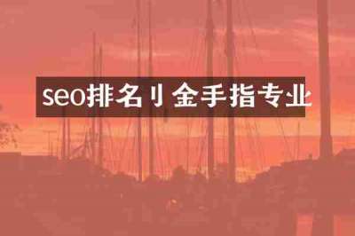 seo排名刂金手指专业