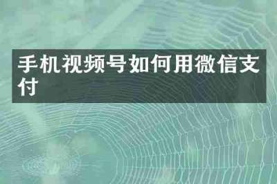 手机视频号如何用微信支付