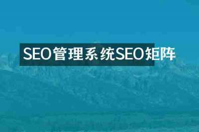 SEO管理系统SEO矩阵