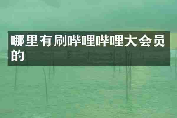 哪里有刷哔哩哔哩大会员的
