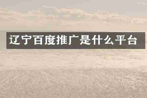 辽宁百度推广是什么平台