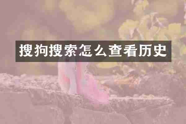搜狗搜索怎么查看历史