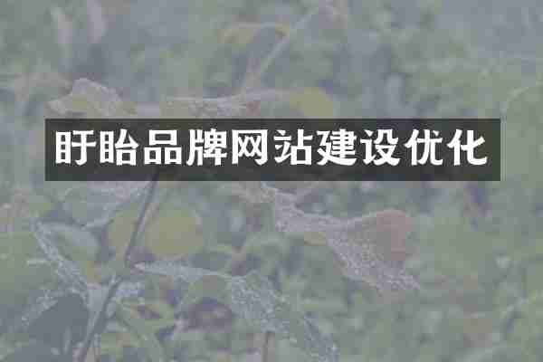 盱眙品牌网站建设优化
