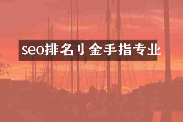 seo排名刂金手指专业