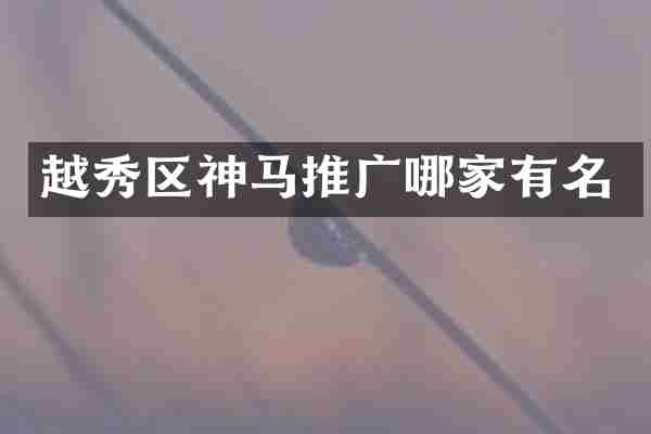 越秀区神马推广哪家有名