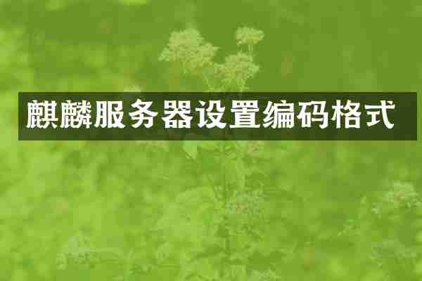 麒麟服务器设置编码格式