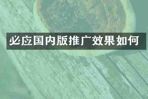 必应国内版推广效果如何