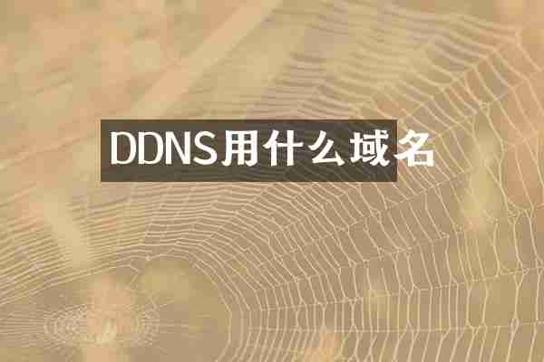 DDNS用什么域名