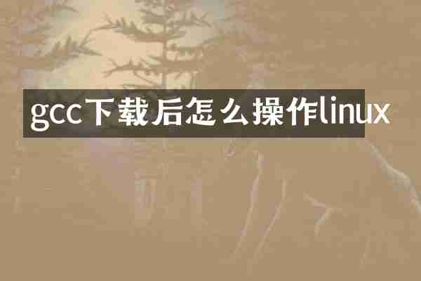 gcc下载后怎么操作linux
