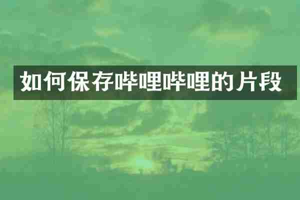 如何保存哔哩哔哩的片段