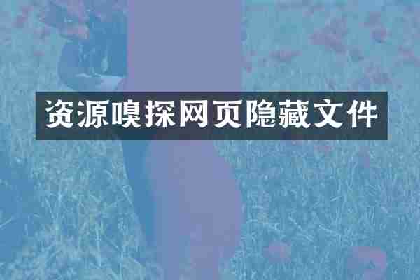 资源嗅探网页隐藏文件
