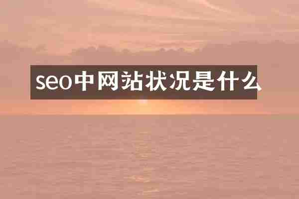 seo中网站状况是什么