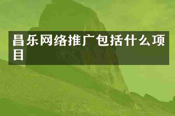 昌乐网络推广包括什么项目